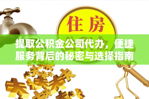 嘉善提取公积金公司代办，便捷服务背后的秘密与选择指南