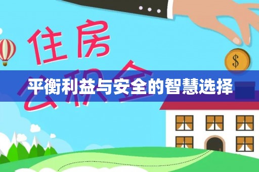 嘉善平衡利益与安全的智慧选择
