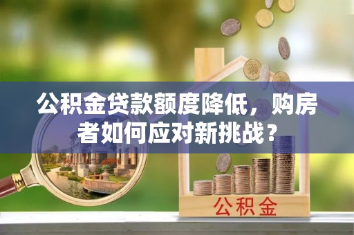 嘉善公积金贷款额度降低，购房者如何应对新挑战？