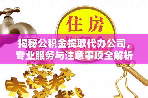 嘉善揭秘公积金提取代办公司，专业服务与注意事项全解析