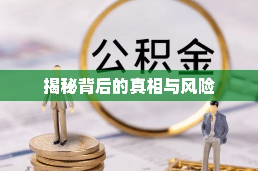 嘉善揭秘背后的真相与风险