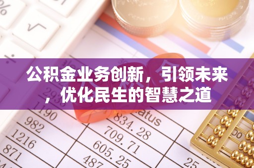 嘉善公积金业务创新，引领未来，优化民生的智慧之道