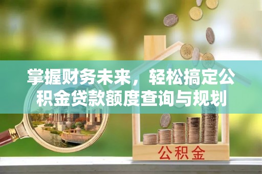 嘉善掌握财务未来，轻松搞定公积金贷款额度查询与规划