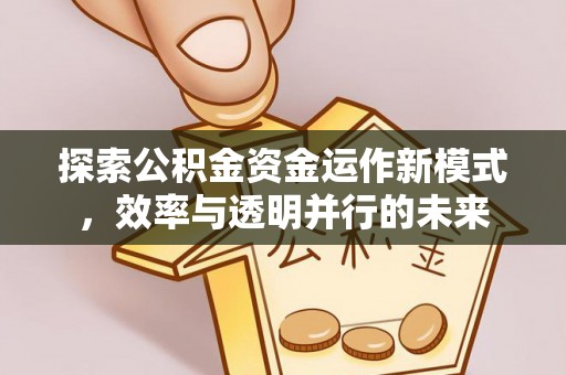 嘉善探索公积金资金运作新模式，效率与透明并行的未来
