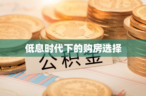 嘉善低息时代下的购房选择