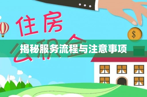 嘉善揭秘服务流程与注意事项