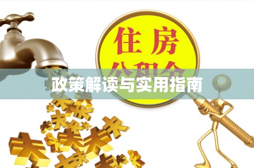 嘉善政策解读与实用指南