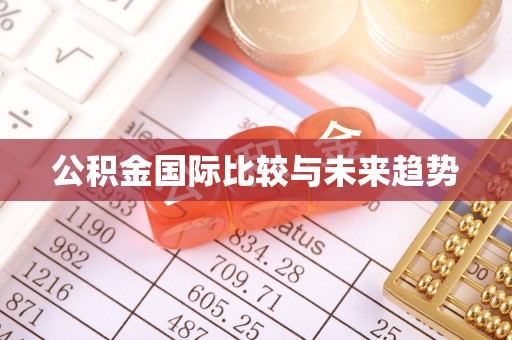 嘉善公积金国际比较与未来趋势