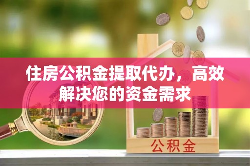 嘉善住房公积金提取代办，高效解决您的资金需求