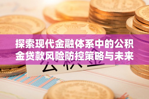 嘉善探索现代金融体系中的公积金贷款风险防控策略与未来发展趋势