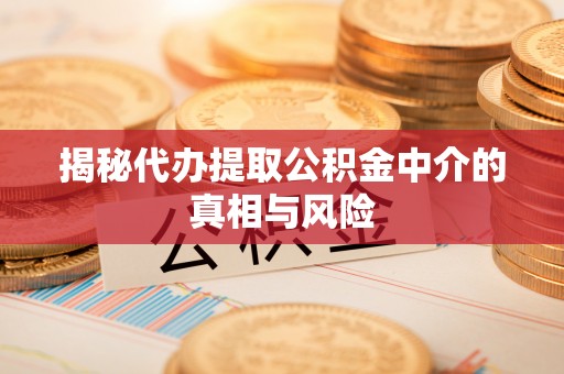 嘉善揭秘代办提取公积金中介的真相与风险