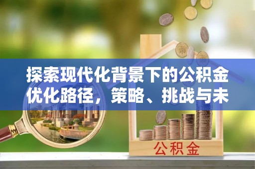 嘉善探索现代化背景下的公积金优化路径，策略、挑战与未来展望