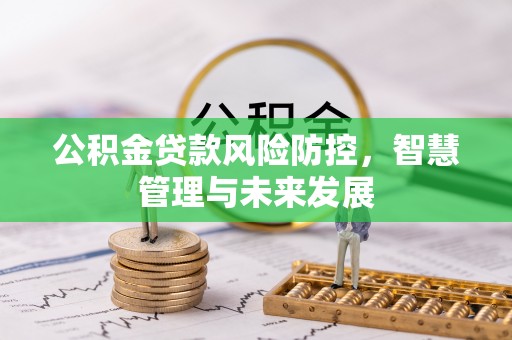 嘉善公积金贷款风险防控，智慧管理与未来发展