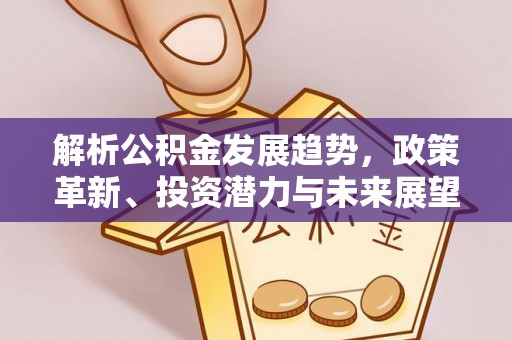 嘉善解析公积金发展趋势，政策革新、投资潜力与未来展望