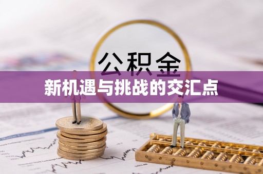 嘉善新机遇与挑战的交汇点