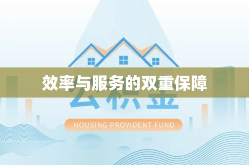嘉善效率与服务的双重保障