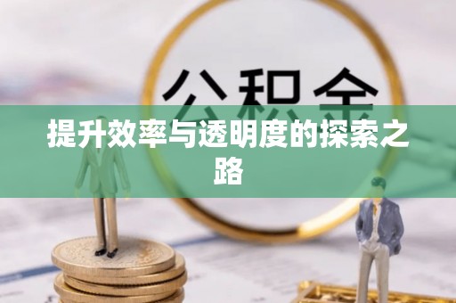 嘉善提升效率与透明度的探索之路