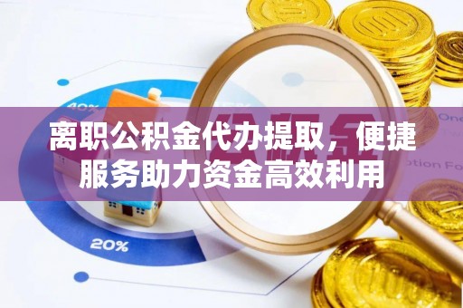 嘉善离职公积金代办提取，便捷服务助力资金高效利用
