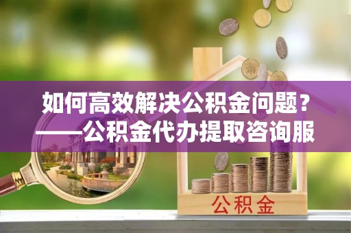 嘉善如何高效解决公积金问题？——公积金代办提取咨询服务指南