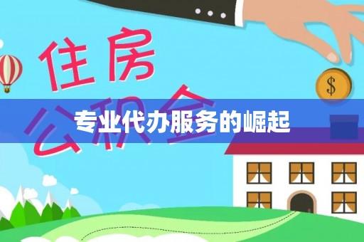 嘉善专业代办服务的崛起