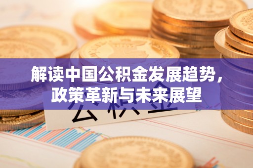 嘉善解读中国公积金发展趋势，政策革新与未来展望