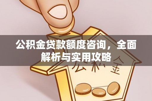 嘉善公积金贷款额度咨询，全面解析与实用攻略