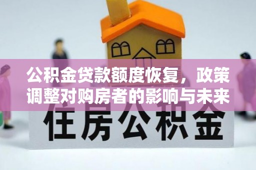 嘉善公积金贷款额度恢复，政策调整对购房者的影响与未来展望
