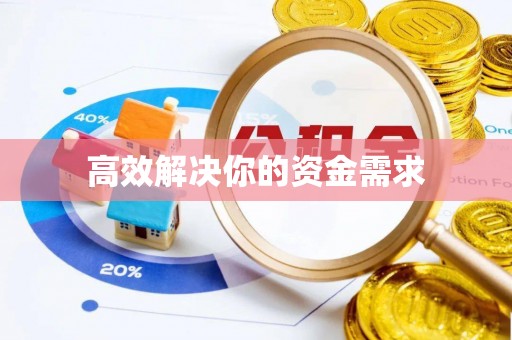 嘉善高效解决你的资金需求
