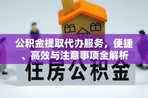 嘉善公积金提取代办服务，便捷、高效与注意事项全解析