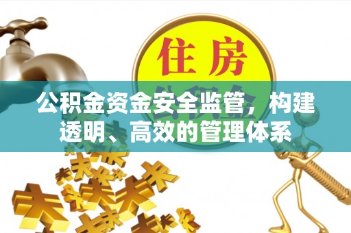 嘉善公积金资金安全监管，构建透明、高效的管理体系