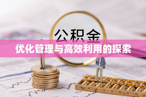 嘉善优化管理与高效利用的探索