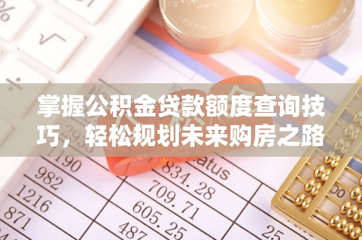 嘉善掌握公积金贷款额度查询技巧，轻松规划未来购房之路