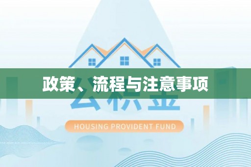 嘉善政策、流程与注意事项