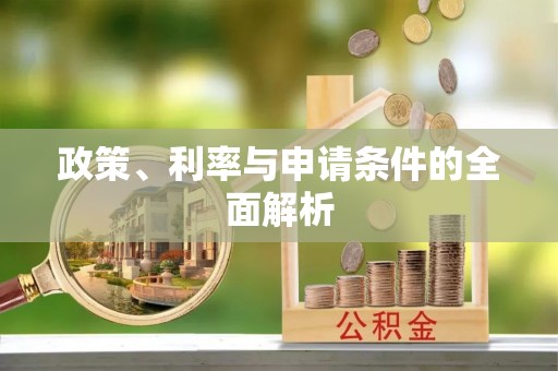 嘉善政策、利率与申请条件的全面解析