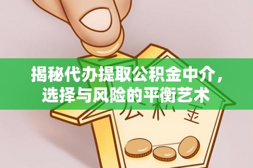 嘉善揭秘代办提取公积金中介，选择与风险的平衡艺术