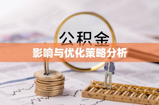嘉善影响与优化策略分析