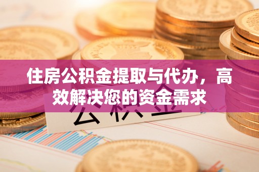 嘉善住房公积金提取与代办，高效解决您的资金需求
