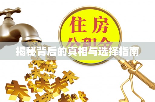 嘉善揭秘背后的真相与选择指南