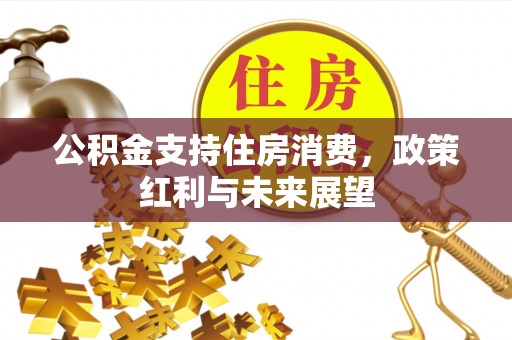 嘉善公积金支持住房消费，政策红利与未来展望