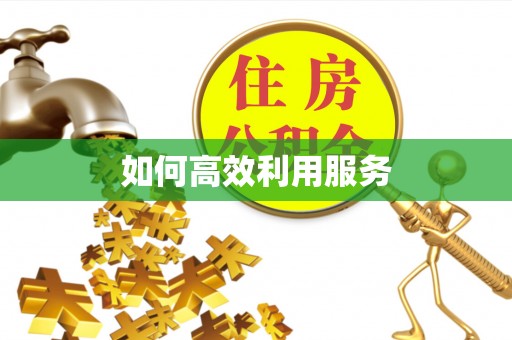 嘉善如何高效利用服务