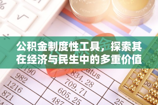 嘉善公积金制度性工具，探索其在经济与民生中的多重价值
