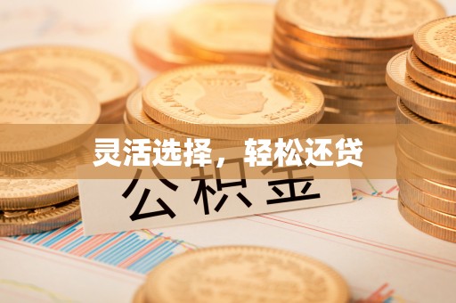 嘉善灵活选择，轻松还贷