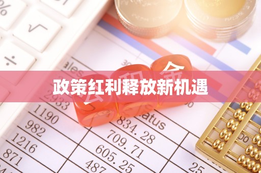 嘉善政策红利释放新机遇