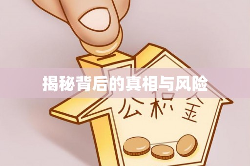 嘉善揭秘背后的真相与风险