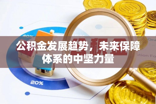嘉善公积金发展趋势，未来保障体系的中坚力量
