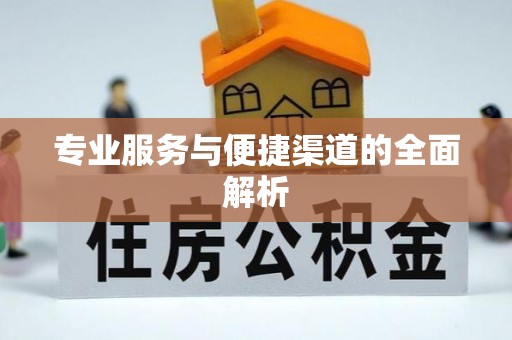 嘉善专业服务与便捷渠道的全面解析