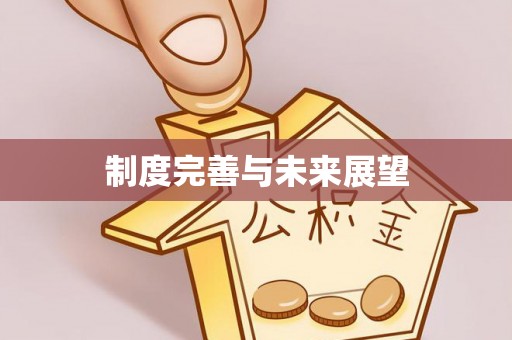 嘉善制度完善与未来展望