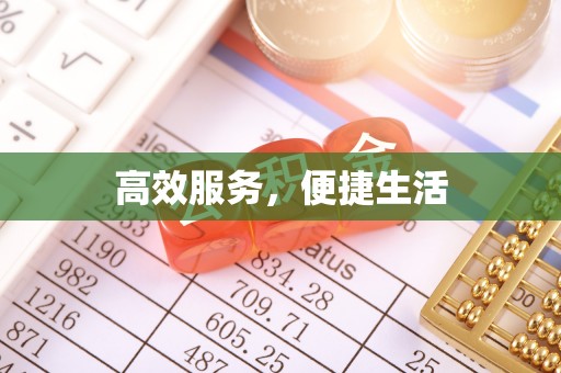 嘉善高效服务，便捷生活