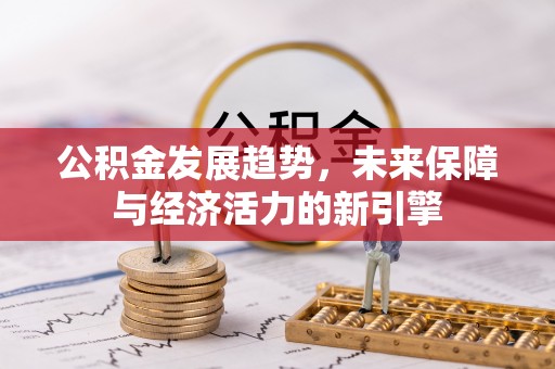 嘉善公积金发展趋势，未来保障与经济活力的新引擎