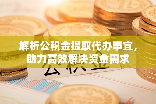 嘉善解析公积金提取代办事宜，助力高效解决资金需求